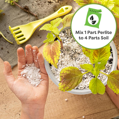 Organic Perlite, 8 Qt, Gardening Soil Drainage & Aeration | Lightweight Horticultural Mineral, Prevents Compacting, Mix into Potting Media for Indoor and Outdoor Containers