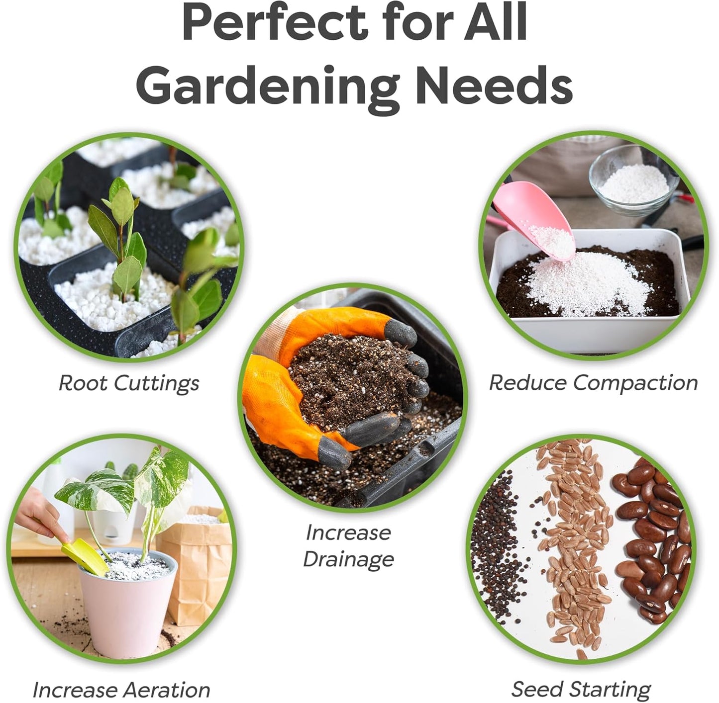 Organic Perlite, 8 Qt, Gardening Soil Drainage & Aeration | Lightweight Horticultural Mineral, Prevents Compacting, Mix into Potting Media for Indoor and Outdoor Containers